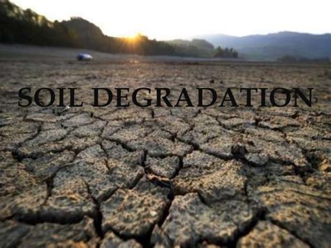 Soil Degradation And Conservation