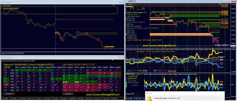Forex Overview Fast Scalping Forex Hedge Fund