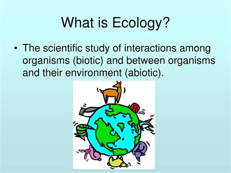 Ppt What Is Ecology Powerpoint Presentation Free Download Id6702216