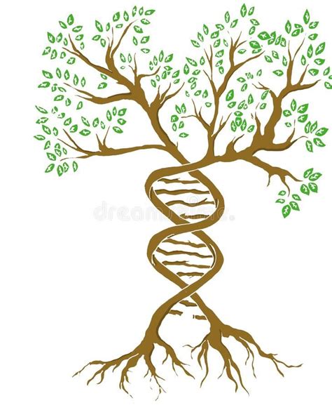 Science Illustration Hand Drawn Dna And Tree Aff Hand