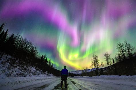 Aurora Northern Lights Alaska Shelly Lighting