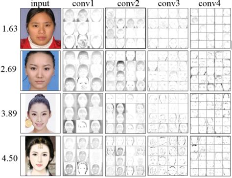 figure 1 from a new humanlike facial attractiveness predictor with cascaded fine tuning deep