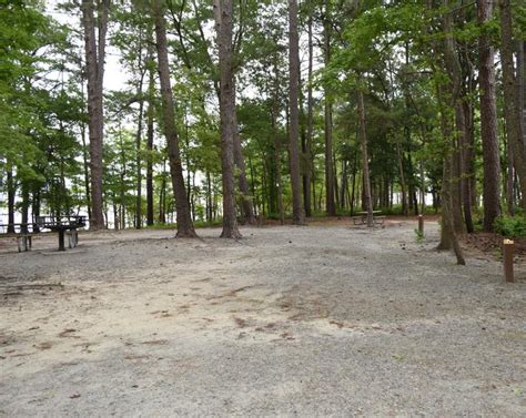 Piney Woods Campsites Go Camping America