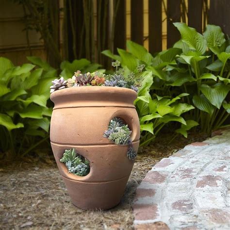 These planters do not limit you to strawberries or hens these planters do not limit you to strawberries or hens and chicks. 10.63-in W x 12.2-in H Terracotta Strawberry Pot in the ...