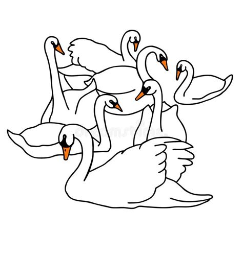 Seven Swans A Swimming Clipart Cartoon