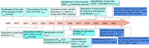 Frontiers Stem Like T Cells And Niches Implications In Human Health