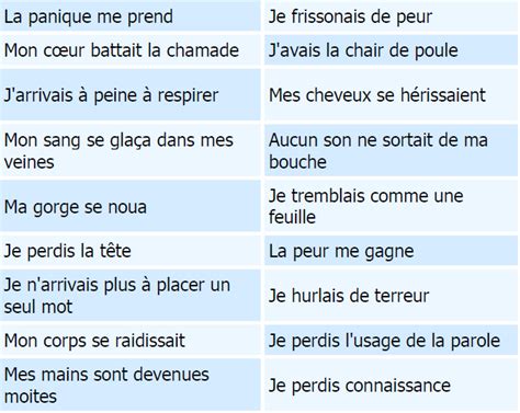Vocabulaire Pour Exprimer La Peur La Joie Et La Tristesse En Fran Ais