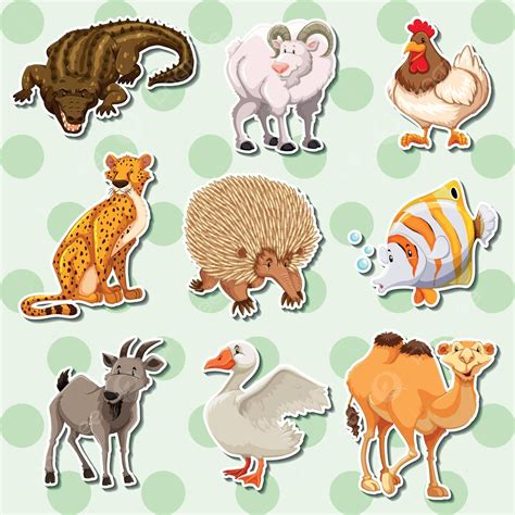 Sticker Design With Many Creatures Animal Drawing Clip Art Vector