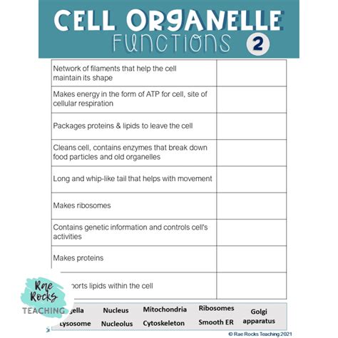 3 Cell Organelle Games To Review Rae Rocks Teaching