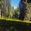 Fish lake cabins loon lake cabins clearwater lake cabins columbia river gorge cabins trillium lake photography trillium lake camping trillium lake activities trillium lake amphitheater. Trillium Lake Basin Cabins Cross-Country Ski and Snowshoe ...