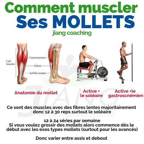 Comment Muscler Ses Mollest Boxing Workout Workout Food Chair Workout