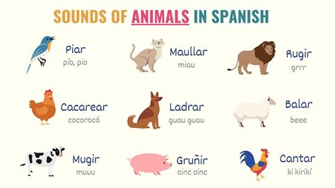 Animals In Spanish List Of 100 Farm Wild And Sea Animals