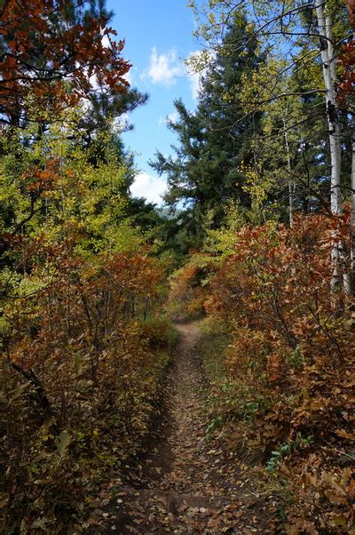 Indian Creek Trail Go Hike Colorado