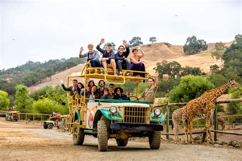 Best Safari Park Winners (2019) | USA TODAY 10Best