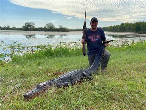 Texas Alligator Hunting Texas Hunt Lodge Hunting Alligators Near