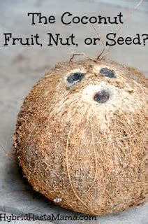The term coconut (or the archaic cocoanut. The Coconut - Fruit, Nut, or Seed? by Hybrid Rasta Mama