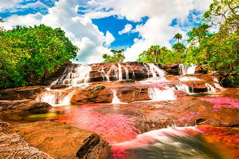 Caño Cristales El Río De Los Siete Colores Viajando Por Colombia