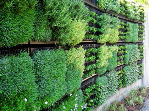 Edible Vertical Gardens With Elmich Green Walls Elmich Pte Ltd