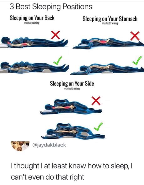 Best Funny Sleeping Positions Memes 9gag