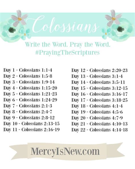 Colossians Write The Word His Mercy Is New Scripture Writing Plans