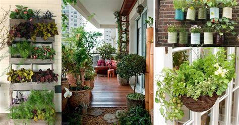 Diy Balcony Vegetable Garden Ideas