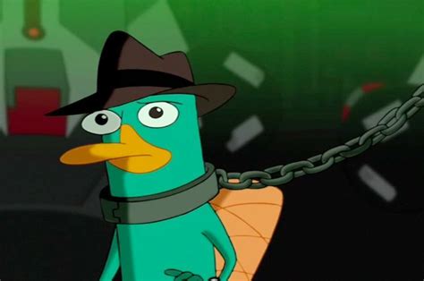 Perry The Platypus Photo Perry Perry The Platypus Phineas And Ferb Memes
