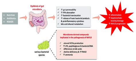 Dysbiosis Of Gut Microbiota May Explain The Inflammatory Process And