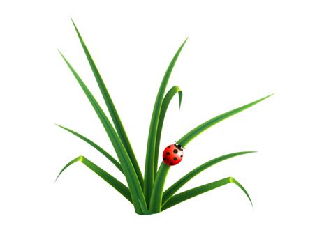 Maybe you would like to learn more about one of these? Seaweed Clipart Grass Clump - Blade Of Grass Clip Art ...
