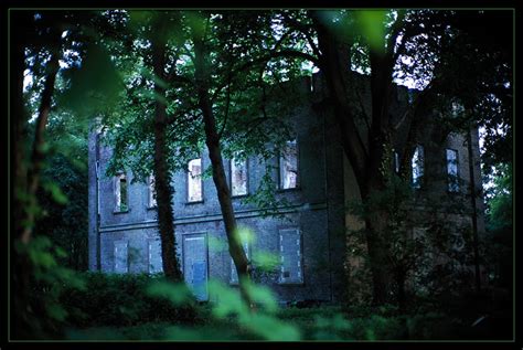 Haus kaufen oder verkaufen , finden sie ihr einfamilienhaus, reihenhaus unter 9.005 häusern auf willhaben. Einsames Haus im Wald Foto & Bild | architektur, lost ...