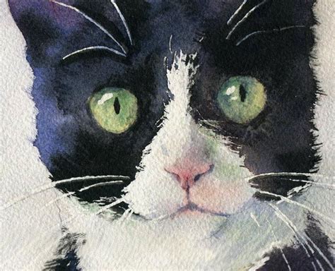 Watercolor Art Of Cats Rachels Studio Blog Tuxedo And Friend