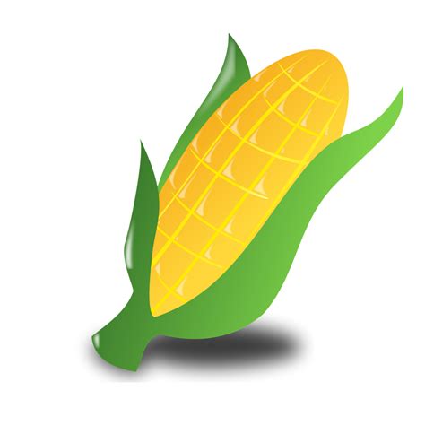 Corn Free Stock Photo Illustration Of An Ear Of Corn 14948