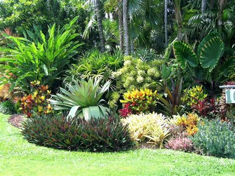 Pin On Planting And Gardening Ideas