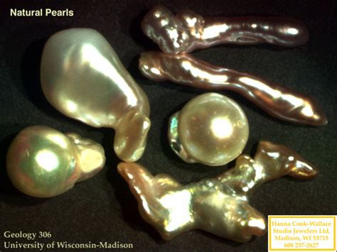 Pearls And Other Organic Gems