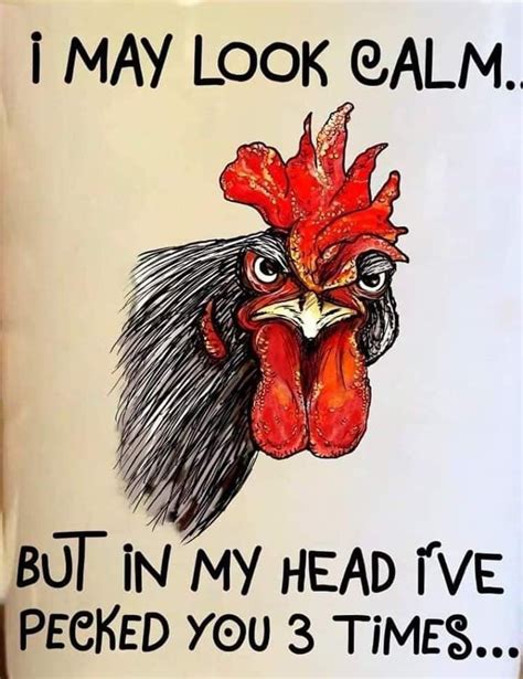 Pin By Sherry Troupe On So Funny Chicken Humor Funny Quotes Bones Funny