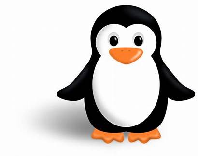 Penguin Clker Clip Clipart Penguins Christmas Linux