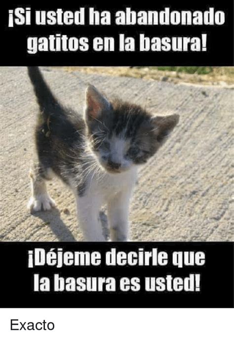 #memes #chistes #humor #funny #invequa #gato #gatos Memes ...