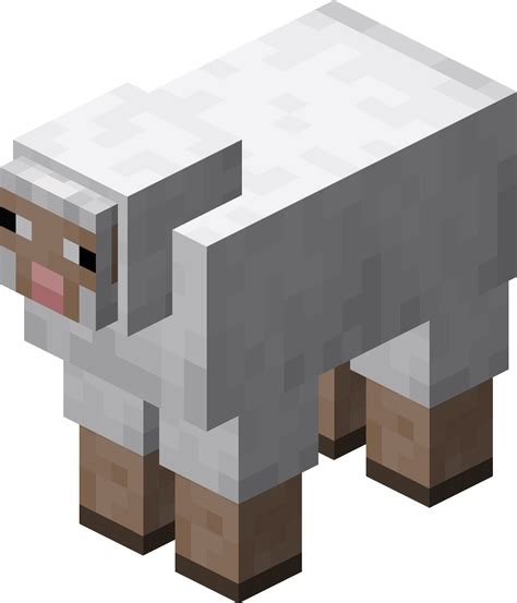 Minecraft Sheep Png Png Image Collection