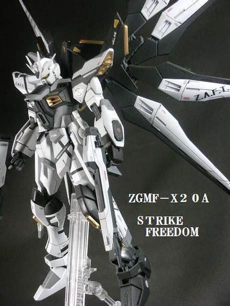 Mg 1100 Strike Freedom Gundam Black And White Painted