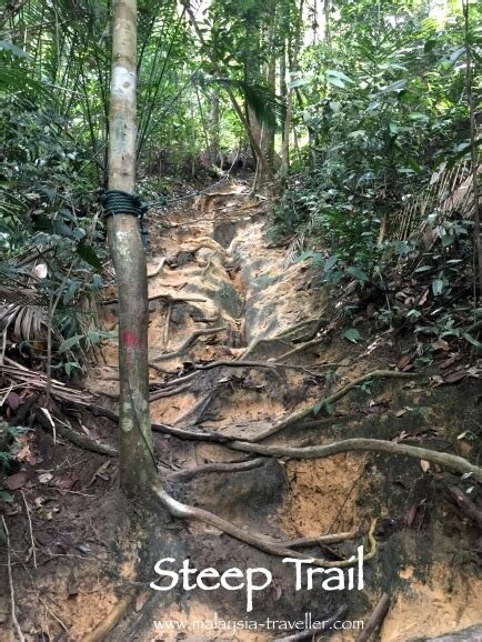 Address, phone number, kanching rainforest waterfall reviews: Apeh Waterfall - A Moderately Challenging Hike Near KL