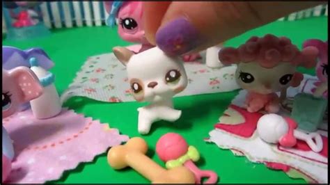 Lps Mommy And Baby Poodles Littlest Pet Shop Cutest Pets Babies Youtube