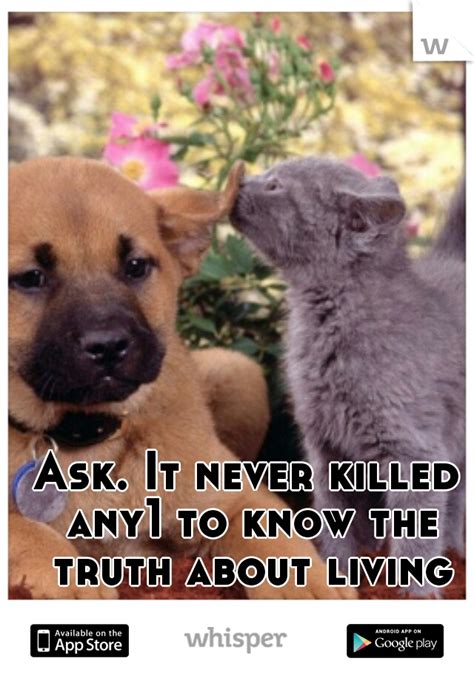 Ask It Never Killed Any1 To Know The Truth About Living Together