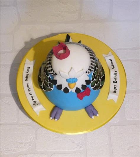 Fat Blue Budgie Cake By Beth Mottershead Cakesdecor