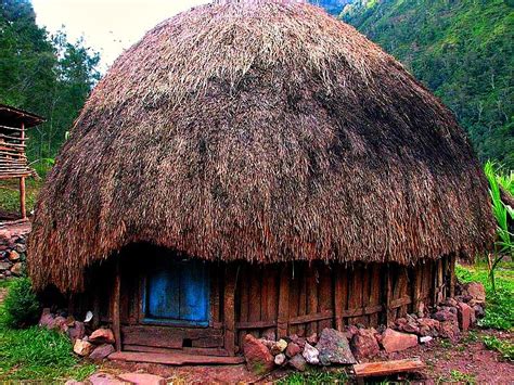 Ciri khas dari rumah adat papua honai. Honai-Papua | Arsitektur hijau, Indonesia, Arsitektur
