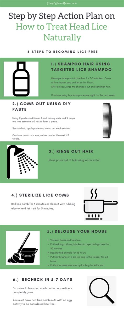 How To Treat Head Lice Naturally Head Louse Treating Lice Naturally