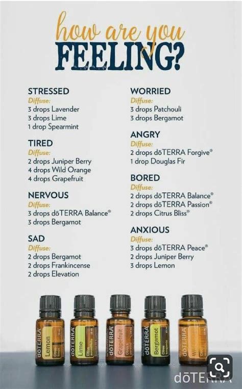 How Are You Feeling Essential Oil Diffuser Blends Essential Oil