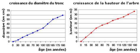 .graphique svt fiche methode fantadys : Cours de SVT 6e - Production de matière par les végétaux chlorophylliens - Maxicours.com