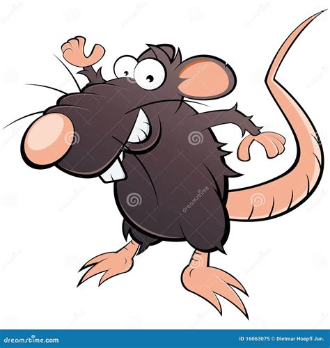 Humorous Rat Cartoon Royalty Free Stock Photo Image 16063075