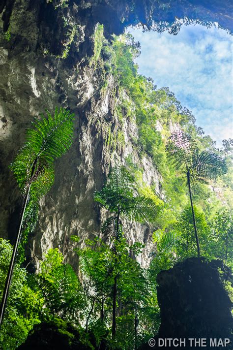 Meanwhile, sarawak and sabah in northern borneo became separate british crown colonies in 1946. 8 Days in Sarawak, Borneo, Malaysia - Travel Blog and ...