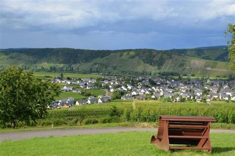Weingut von othegraven, das weingut von günther jauch. Weingut & *** Pension Günther Scholtes