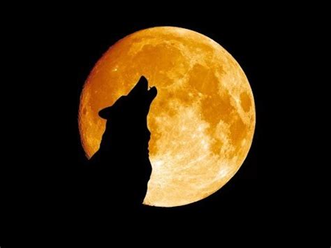 Start studying masculine or feminine?. CANCER FULL MOON ~ DIVINE MASCULINE & FEMININE MULTI ...